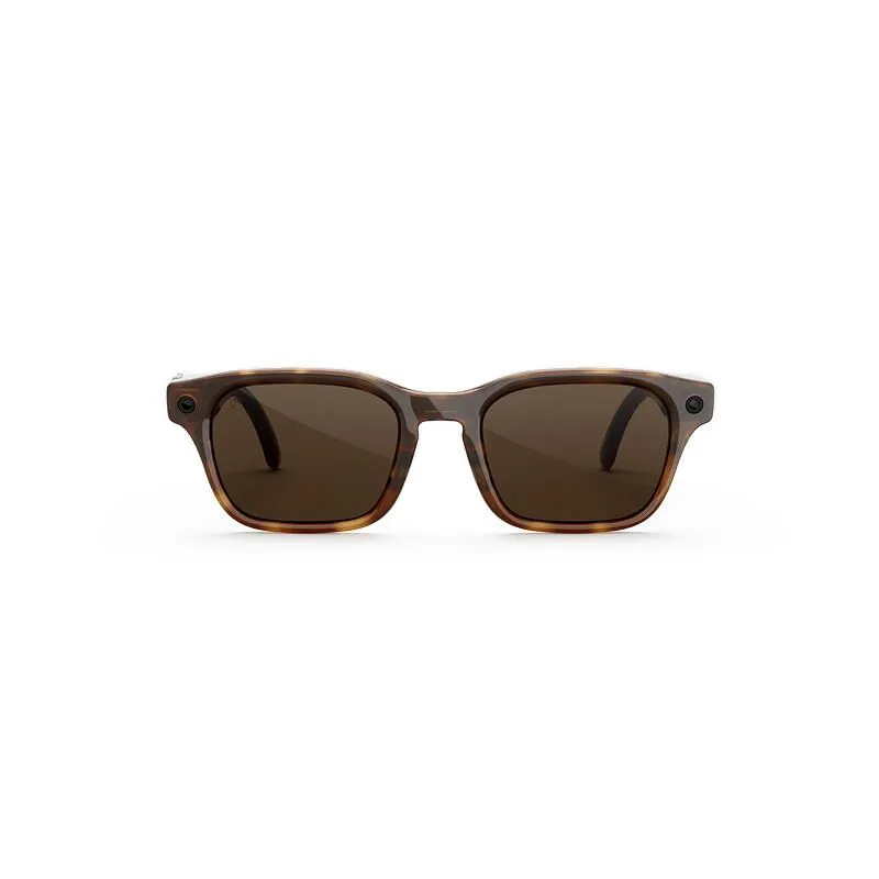 Adventurer Classic Tortoise, линзы Коричневые, размер Lphoto0