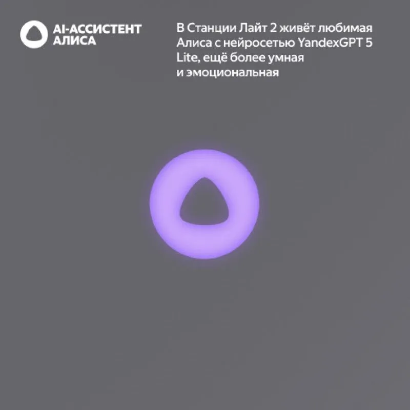Умная колонка Яндекс Станция Лайт 2 с Алисой Графитphoto3