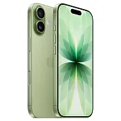 iPhone 17 256Gb Шалфей (eSIM)